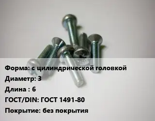 Винт с цилиндрической головкой 3х6 ГОСТ 1491-80 без покрытия